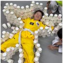 태비태권도 이미지