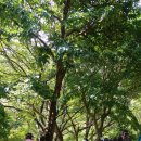 상평어린이집 이미지