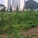 동천교 좌안 이미지