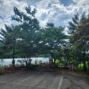 효담(곤드레산채밥상) | [경기 포천] 광릉수목원 한정식 유명한 고모리 효담곤드레산채밥상 추천 맛집 솔직 후기