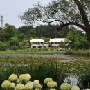 천리포수목원 이미지