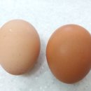 청석농장 이미지