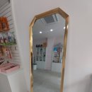 디어펫살롱 이미지