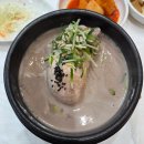 부산대양산캠퍼스역 | 양산 물금 맛집 물금삼계탕 몸보신 후기