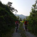 무릉도원면사무소 이미지