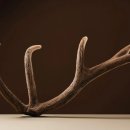 동강한의원 이미지