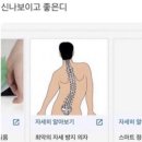 루하스 사우나 이미지