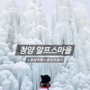 청양 알프스마을 칠갑산 얼음분수 축제 방문후기