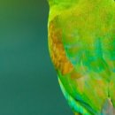 한국폴리텍 특성화대학 항공캠퍼스 이미지