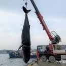 울진해양경찰서(죽변파출소) 이미지