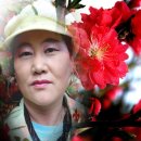 꽁쭈 이미지