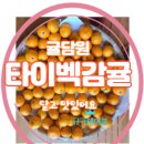 고당도 농법 타이백 감귤 5kg 귤담원~ 못생겼지만 새콤달콤 맛있네요^^내 돈 내산 후기!!