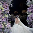 밝은최안과의원 | [공지] w6. 아이폰스냅 결정ㅣ로엔제이 유얼마이뮤즈 마이디어 메이븐스냅 견적 예약방법