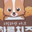 하루치즈 이미지