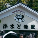 파라다이스유황천 | 후쿠오카 여행 버스투어 두번째 코스 벳푸 가마도 지옥, 유노하나 후기