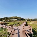 부평생태습지[부평-5] 이미지