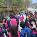 평촌농장 이미지