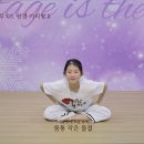 아리랑활력무 이미지