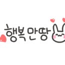 엠에스알운동재활