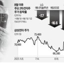 루이바이오 이미지