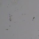 담은동물병원 이미지