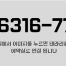 테라리움서울