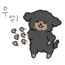 펫데이트 이미지