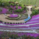 동산농장(1) 이미지