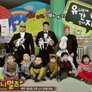 애니멀즈 이미지