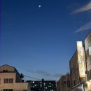 만수3지구 신한은행앞 | 만수동 점심맛집 형제들감자탕 만수3지구점 뼈해장국 감자탕 내돈내산 후기