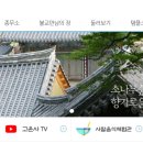 스테이 청춘 이미지