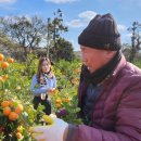 정진수농장 이미지