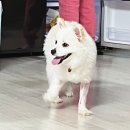 낼름멍푸드 이미지