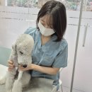 서울은내과동물병원 이미지