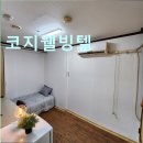 코지웰빙텔