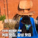 군청 야외휴게소 | 양평 브라운테일커피 애견동반 실내 솔직후기 꿀팁