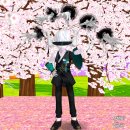 (주)하랑팜 | [테일즈런너] 테런 하랑 흑천 복장 패키지 능력치 및 구매 후기!