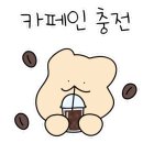 똥개애견카페 네이버블로그