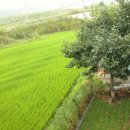 희망찬농장 이미지