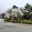 발안도서관 이미지