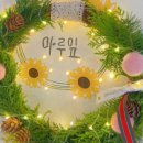 식물마루