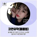 아웃라인