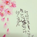 아화캘리그라피