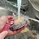 바다품은식탁 전복 아기 영양만점 전복죽 후기