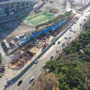 중앙로가로수 이미지