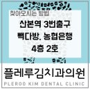 플레루