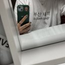 [ 궁금하지 않은 근황 241117 ]