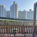 타이어세상 | 브롬톤 뚜르드에디션 타이어 불량 AS후기 - 부산 OCC