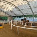 송곡승마교육원 이미지