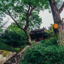 천수교 삼거리 이미지